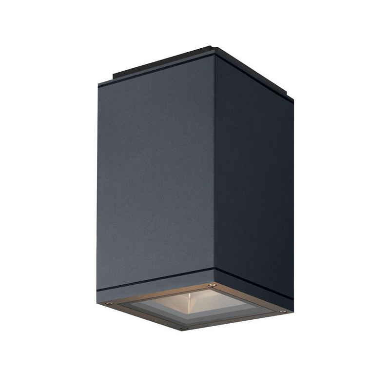 Ceiling light